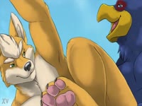 Furry beastiality yellow dog got banged by a big blue bird's cock